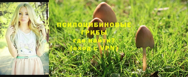 скорость Абинск